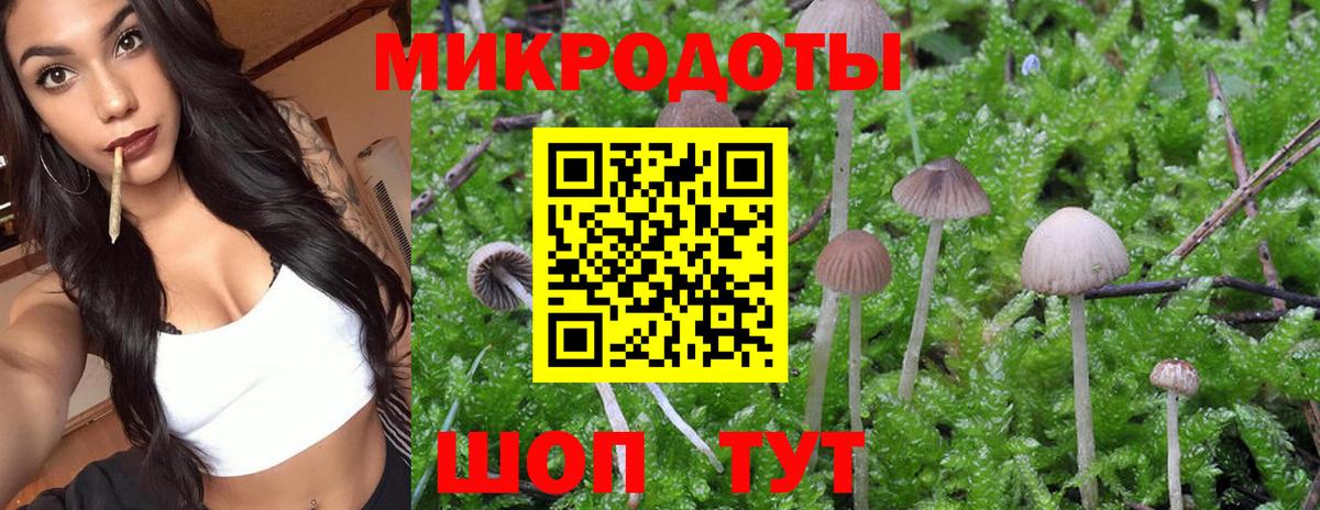 Асино  Галлюциногенные грибы GOLDEN TEACHER  Вход с VPN 